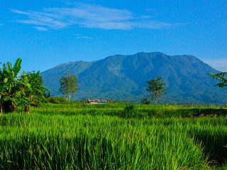 Aktivis Institute : Kesenjangan Ekonomi Dalam Bidang Pertanian Menjadi Persoalan Struktural Indonesia